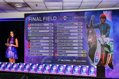 durban july field|The Hollywoodbets Durban July – 6 July 2024.